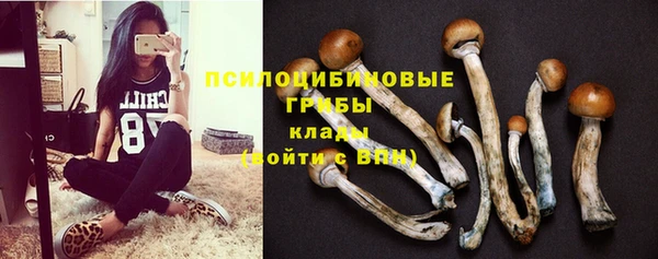 экстази Алексеевка