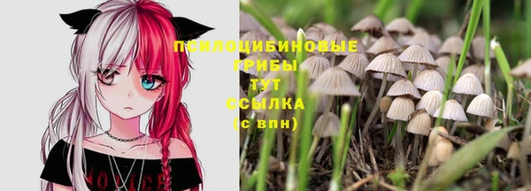 2c-b Абдулино